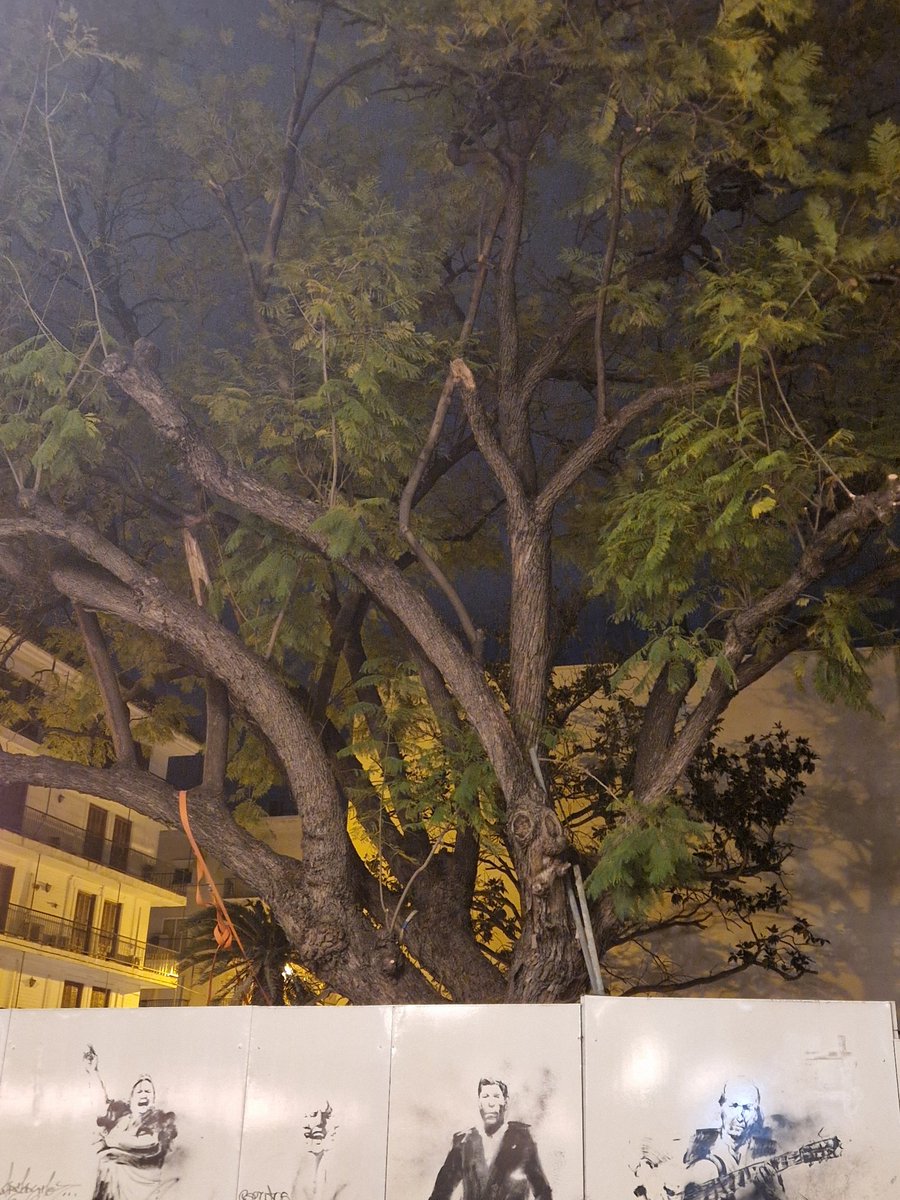 Sevillanos, os engaño tweet media