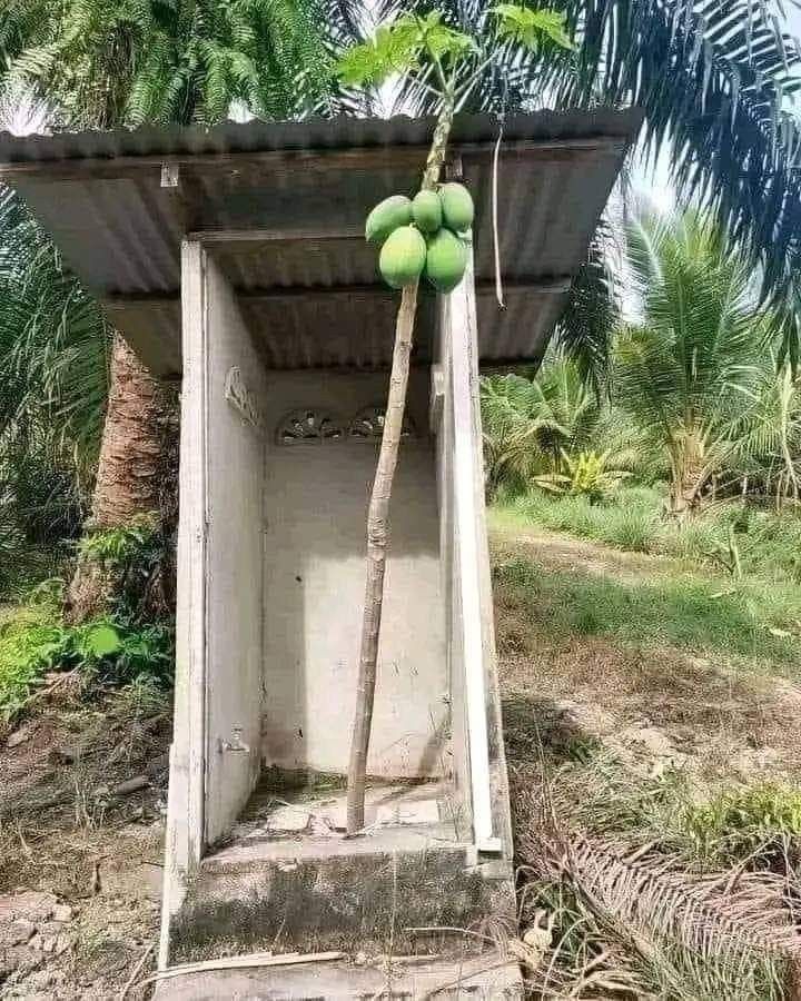 Om prakash tweet media