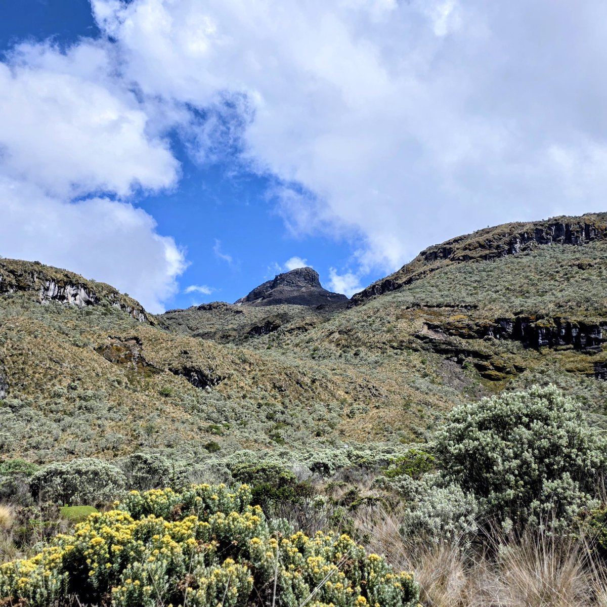 Servicio Geológico Colombiano tweet media