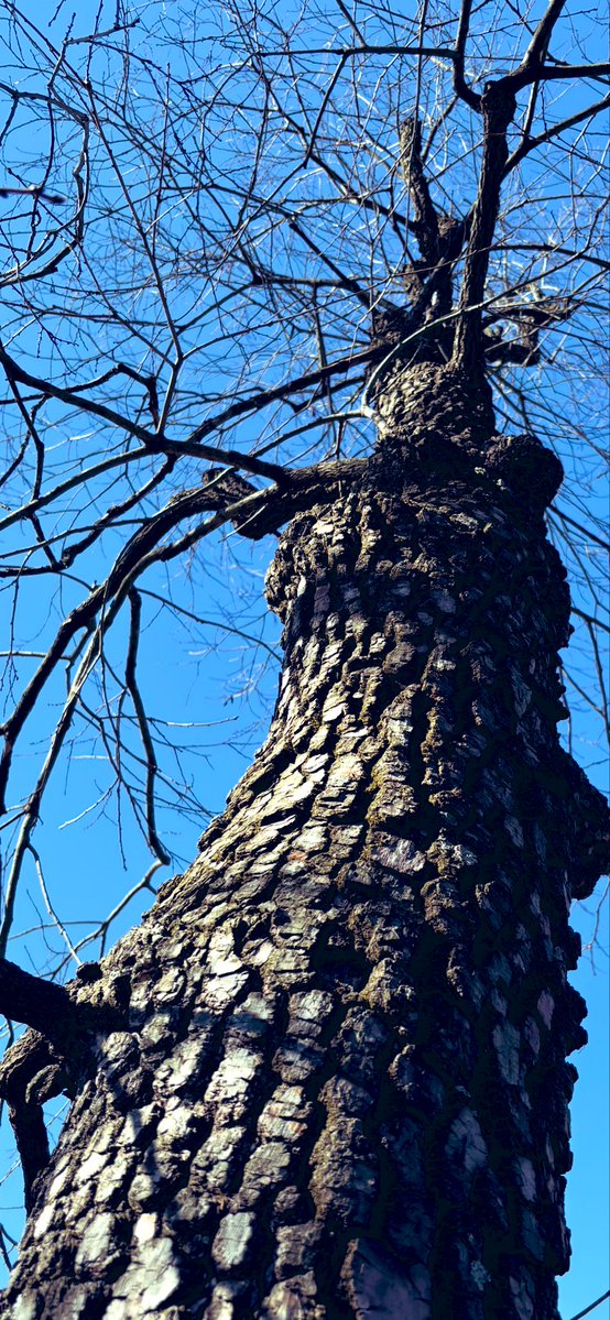 Tip Duval tweet media