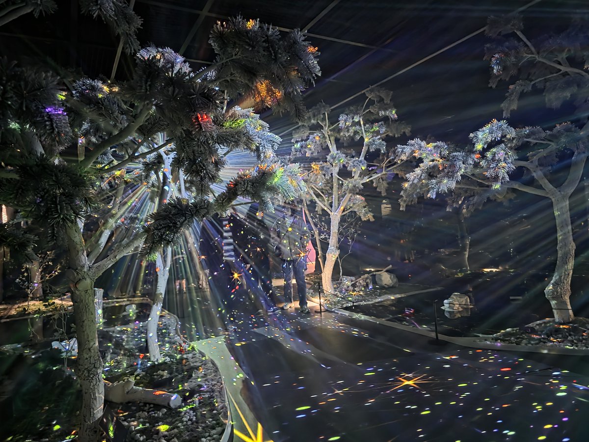 김인호 tweet media