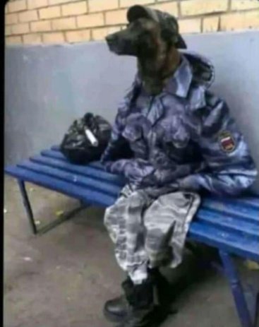 Kartelo🦍 tweet media