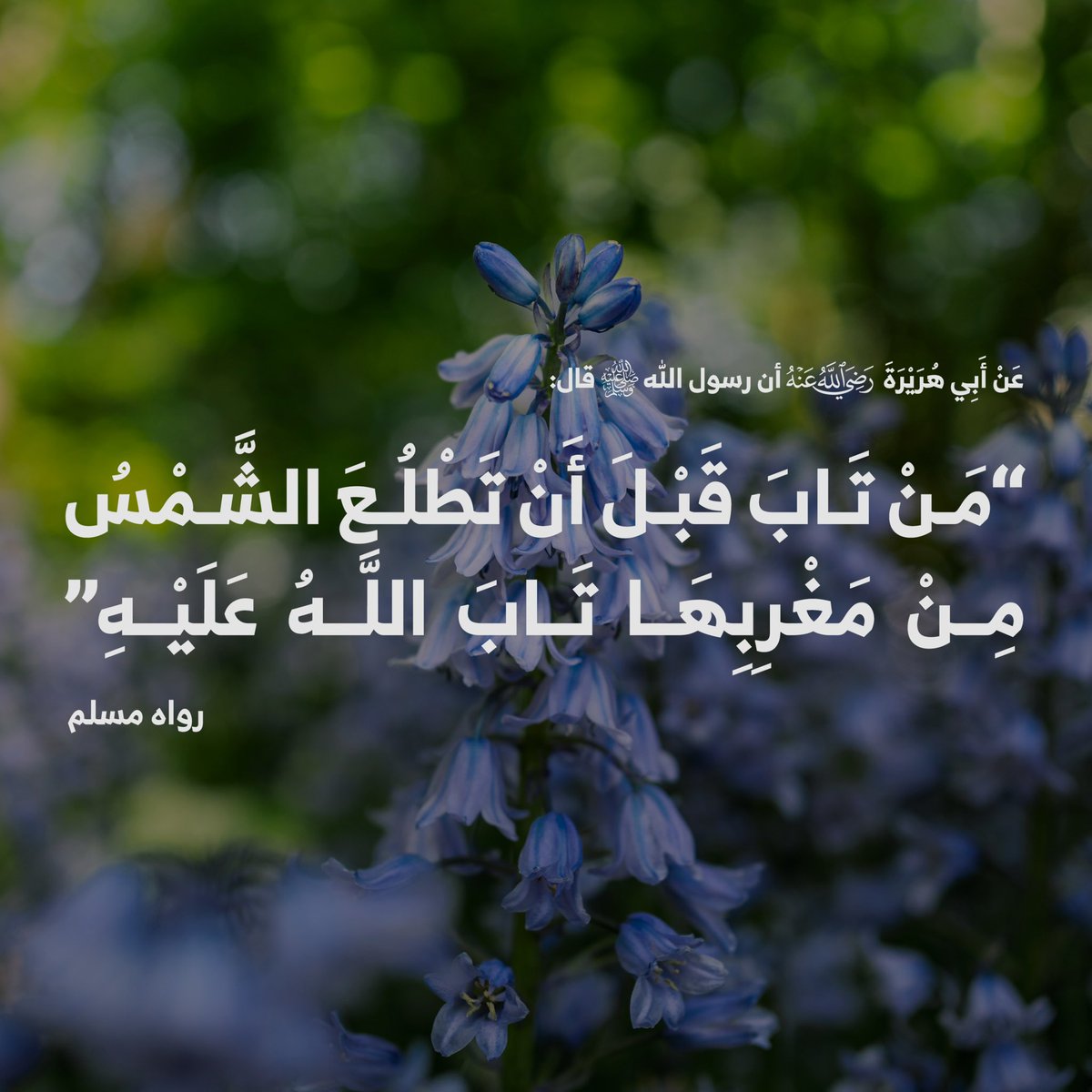 Abdullah 🍂 tweet media