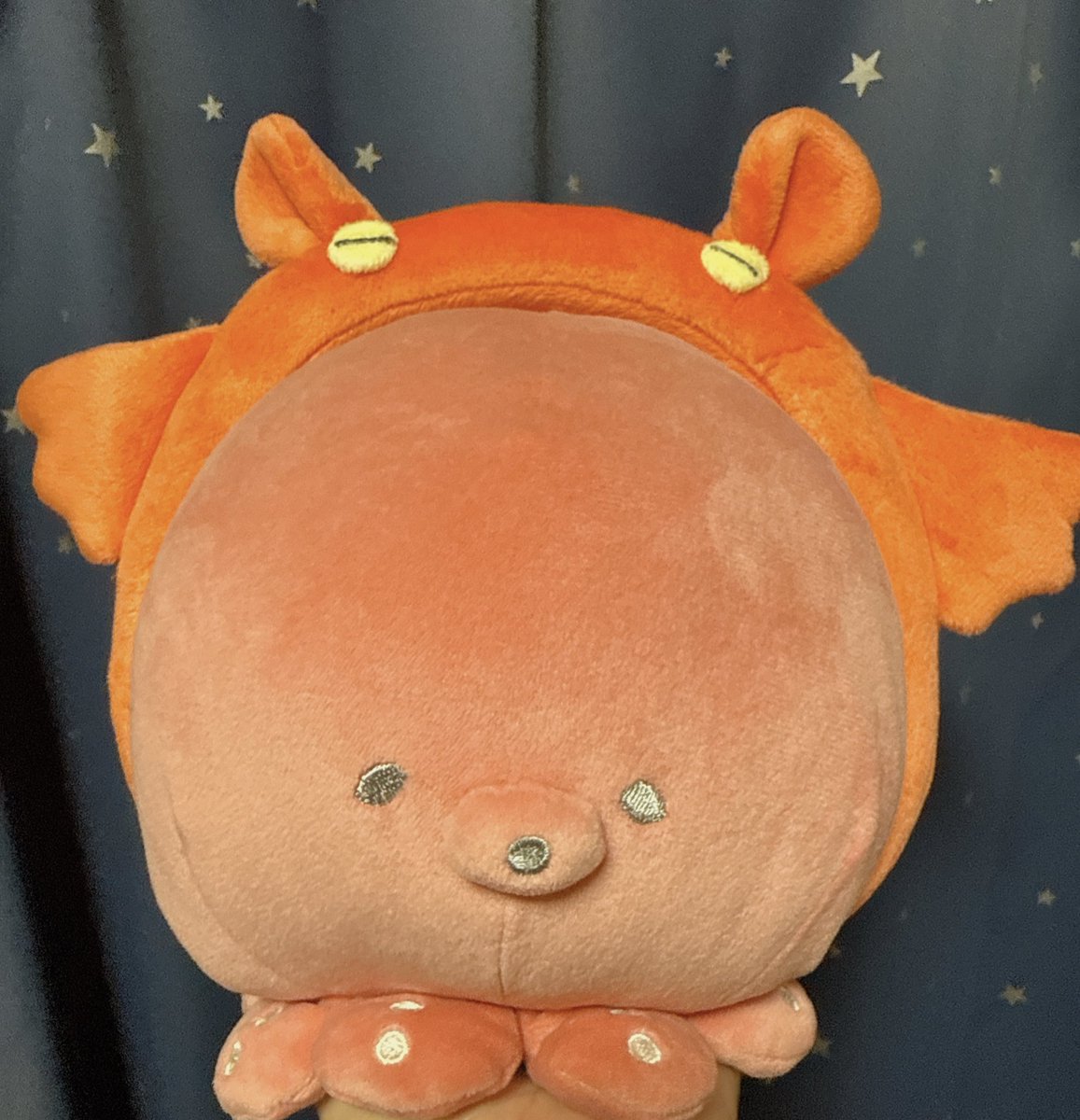 kiseri_24's tweet photo. 公式からのメンダコ供給もちろん買いました
ぬい用もゲットできた https://t.co/ymZheCezaS