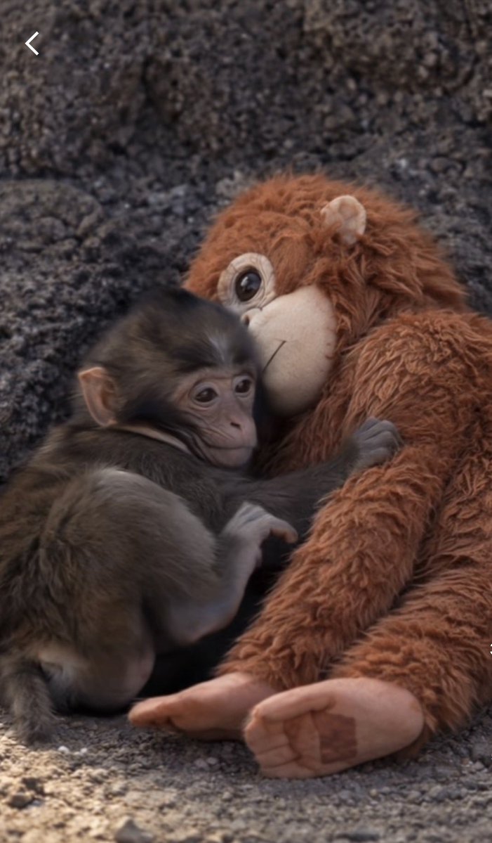 🏳️‍🌈🇨🇾🇬🇷🏴󠁧󠁢󠁳󠁣󠁴󠁿 tweet media