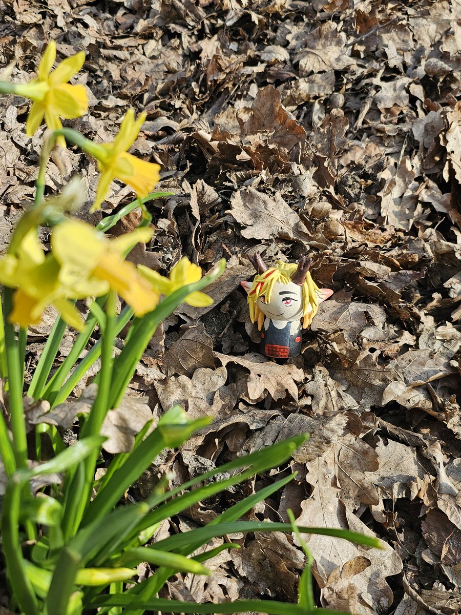 Helia ☀️🐍 tweet media