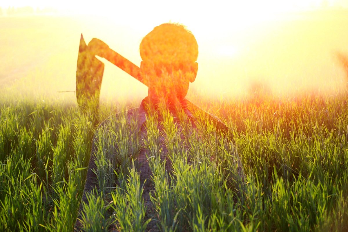 Andhra Pradesh State Disaster Management Authority tweet media