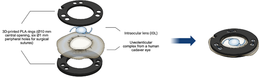 IOVS Journal tweet media
