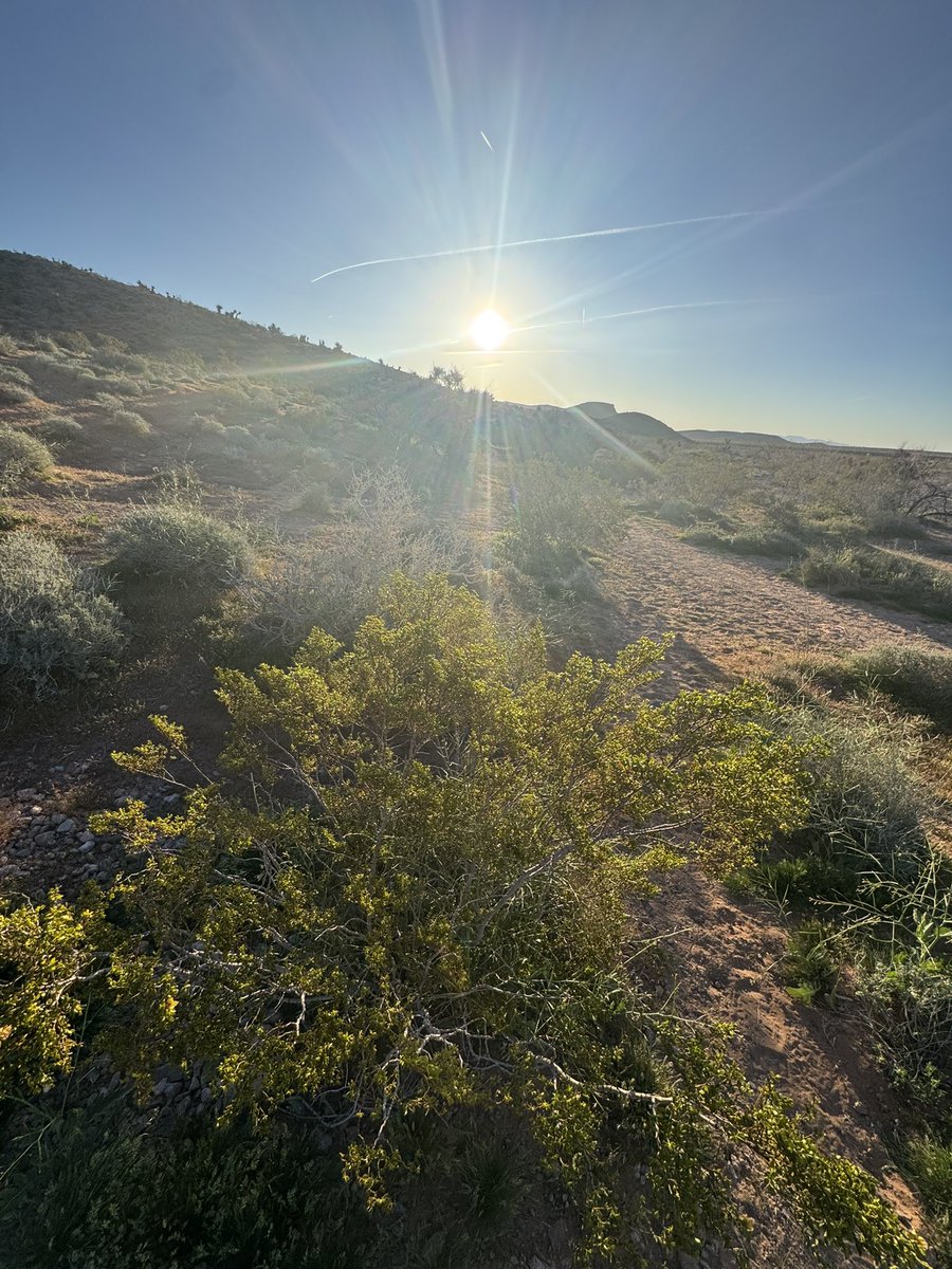 Jared Smith tweet media