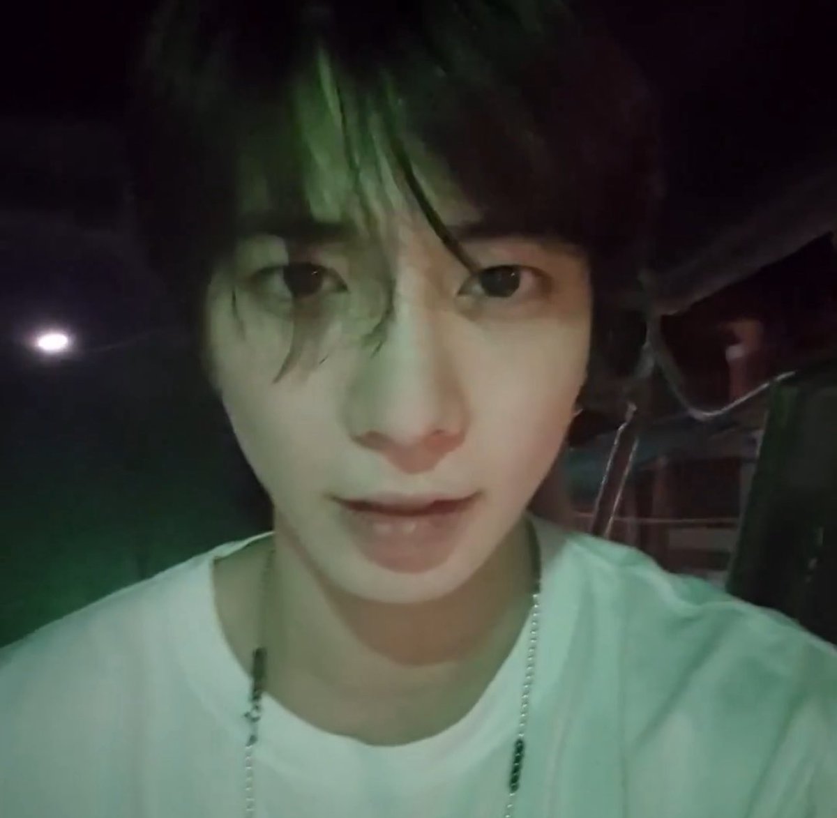 🐱🍀🐰 tweet media