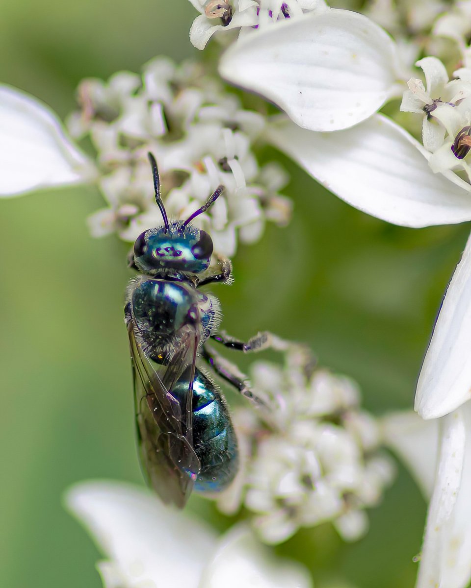 Dewayne Dick tweet media