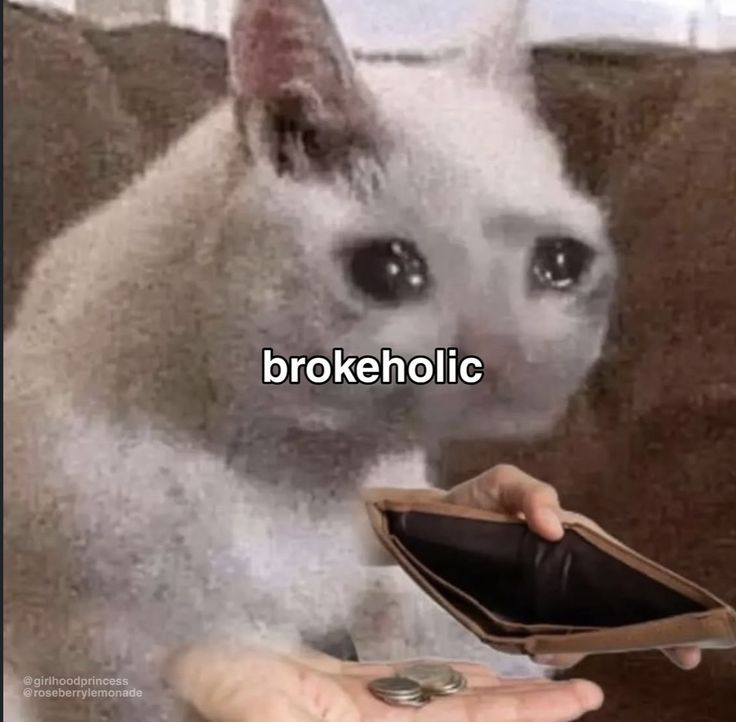 HypeDrop tweet media