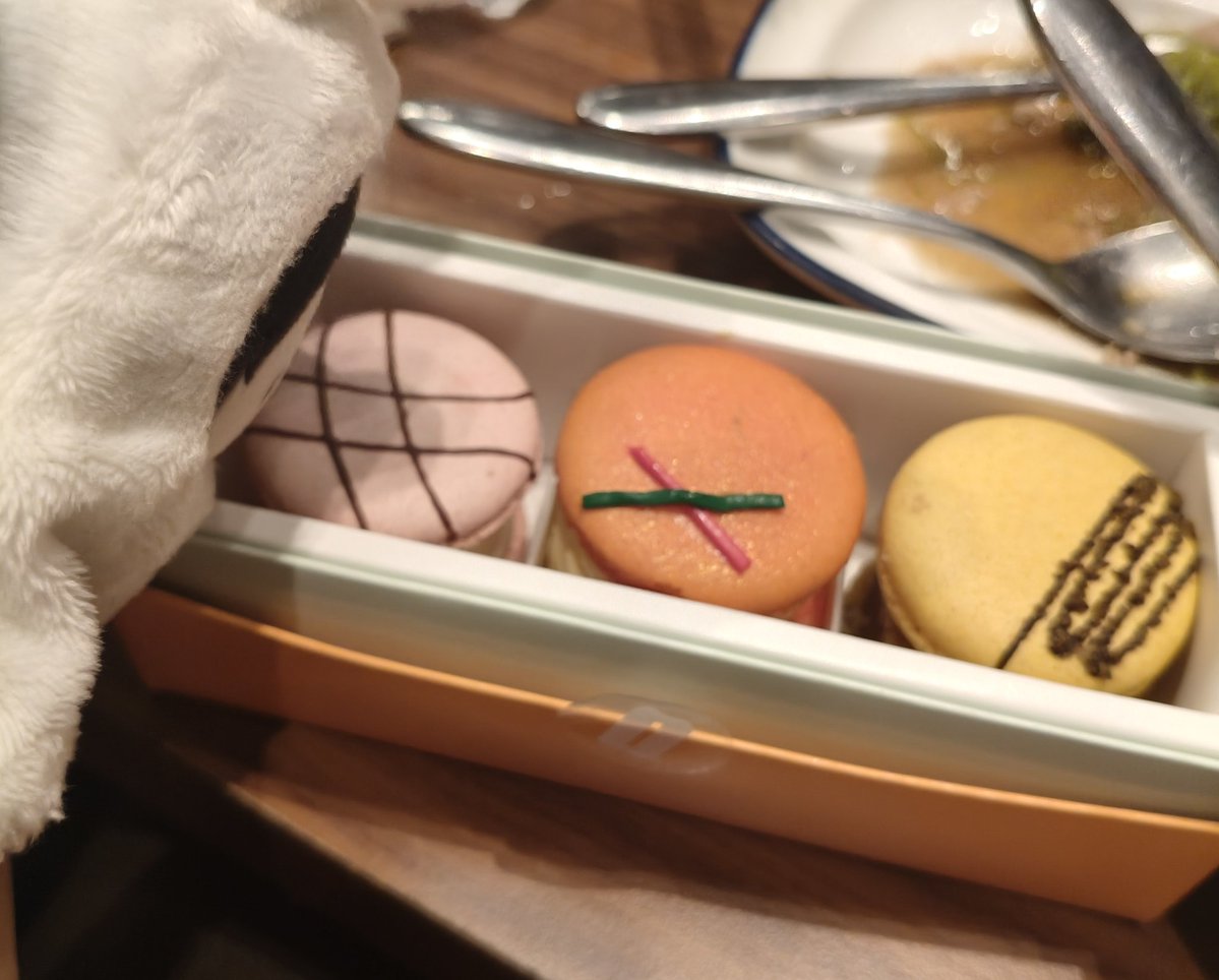 aeche from nowhere tweet media