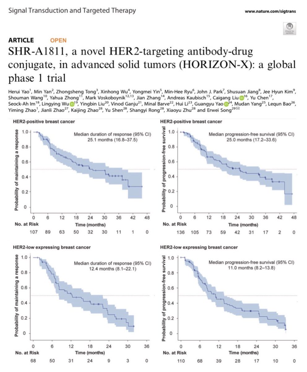 Paolo Tarantino tweet media