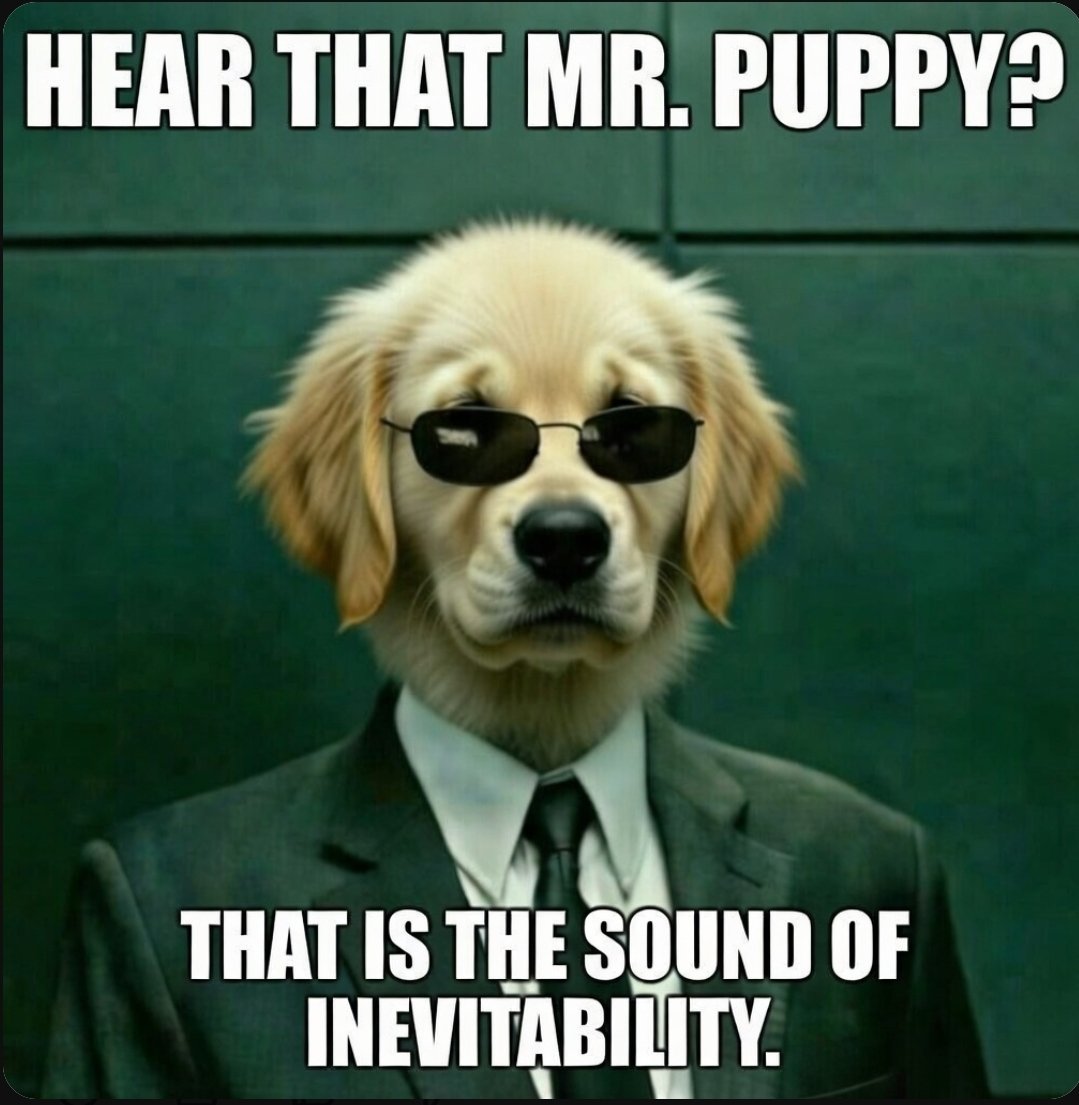 CryptoWatcher tweet media