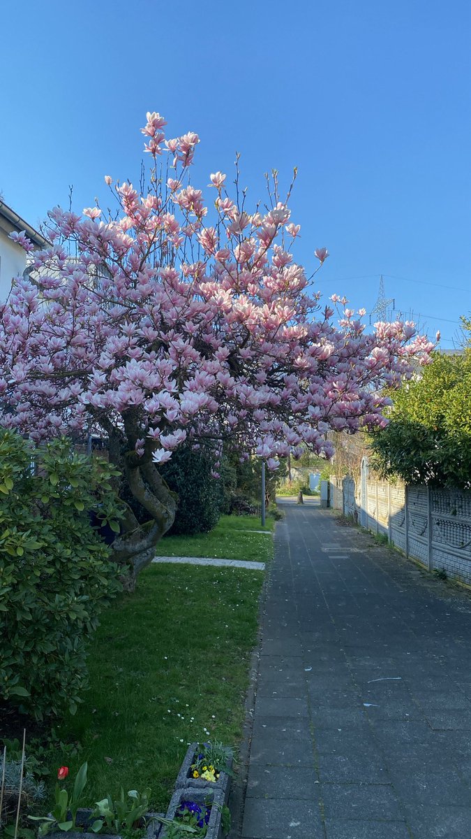 ➰12➰ tweet media