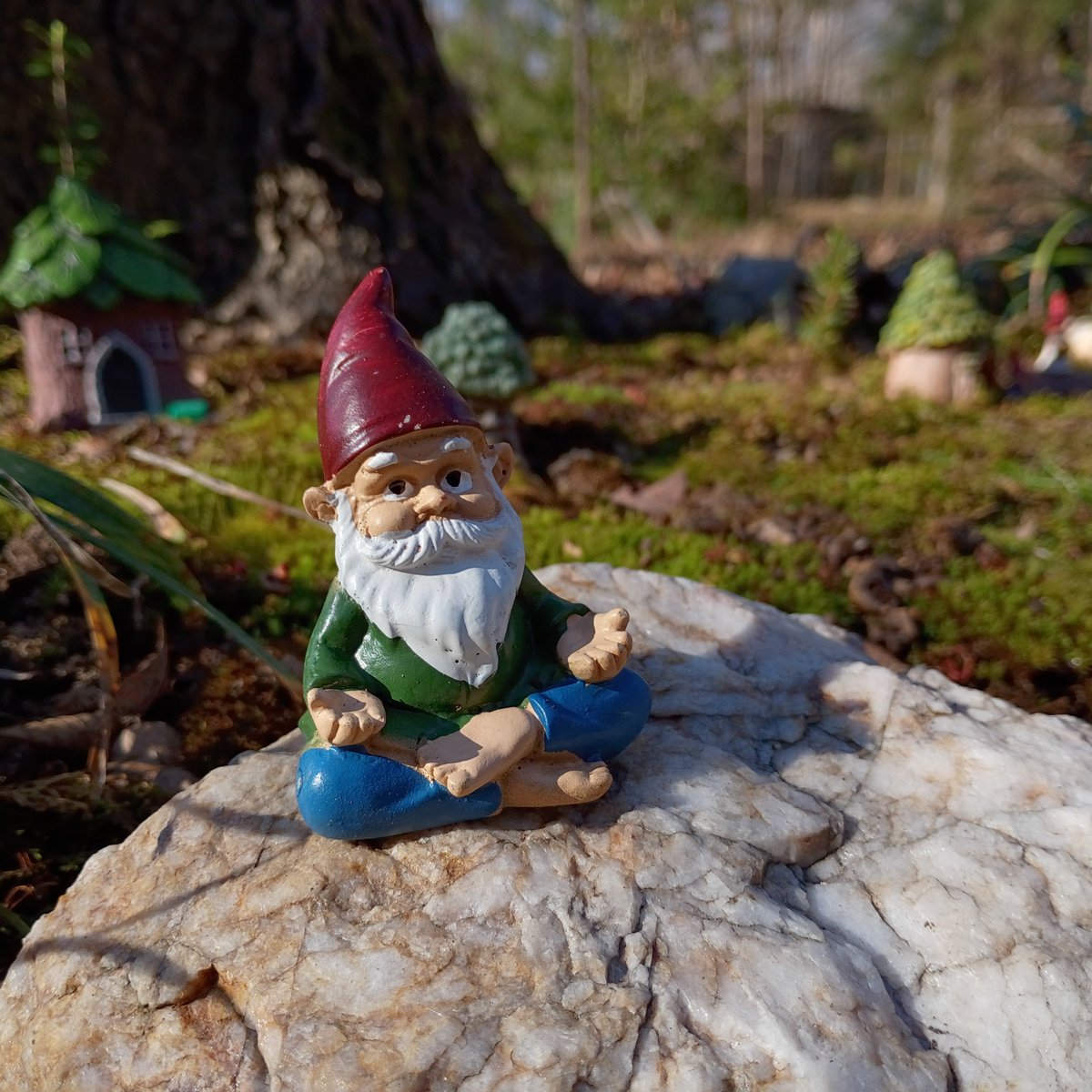 Joey ( l̶i̶k̶e̶s̶ f̶o̶o̶t̶b̶a̶l̶l̶) tweet media