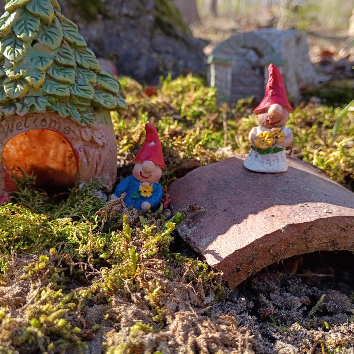 Joey ( l̶i̶k̶e̶s̶ f̶o̶o̶t̶b̶a̶l̶l̶) tweet media