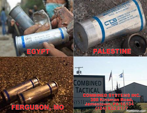 🇵🇸🏴☠️🌻TurboKitty🌻🏴☠️🇵🇸 tweet media