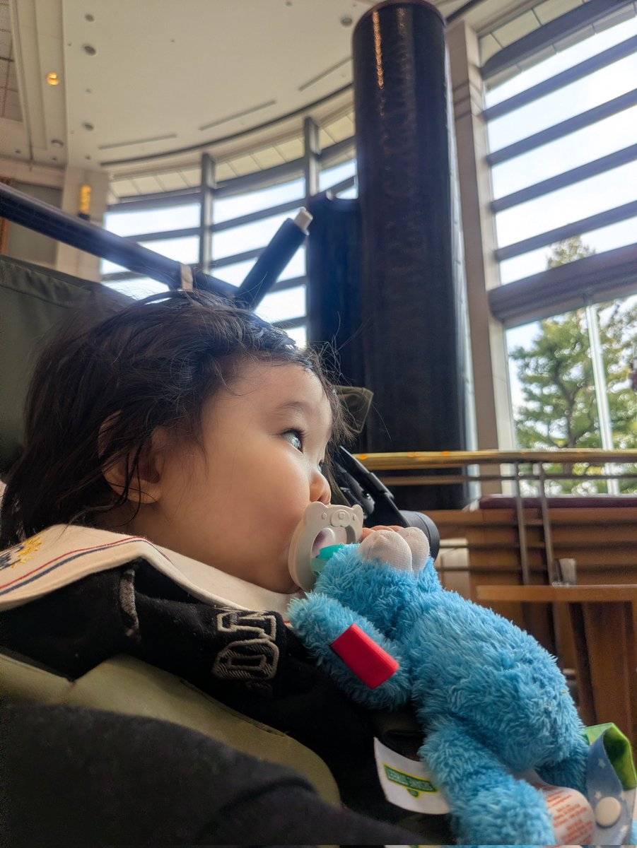 FxxK FUtA tweet media