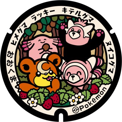 PokeLid Adventures tweet media