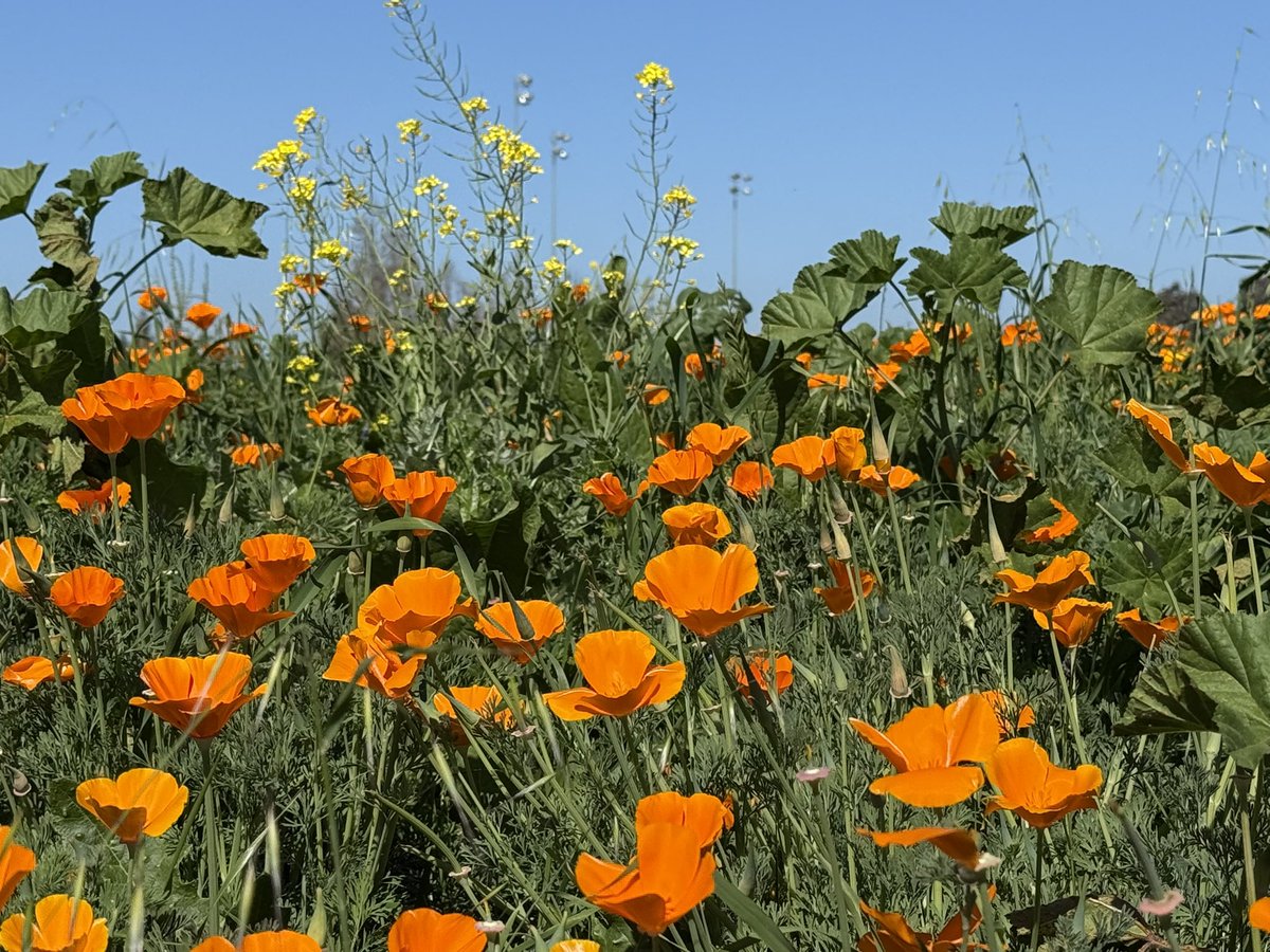 David Tsai/蔡慎坤 tweet media