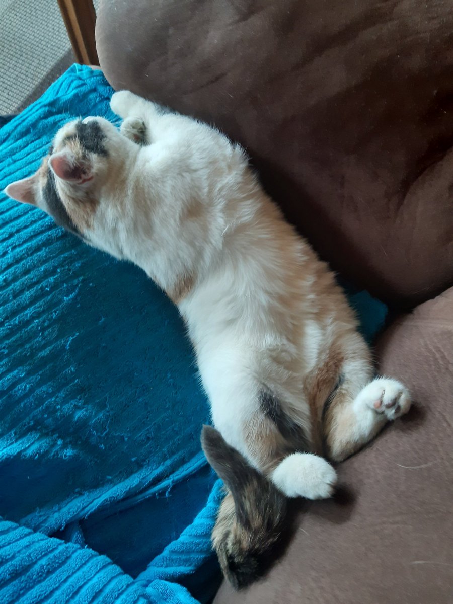 Kari Massinen 🇺🇦 ☮🕊 tweet media