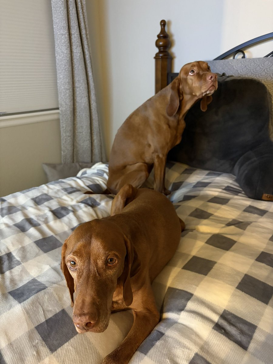 Kent Blazemore tweet media