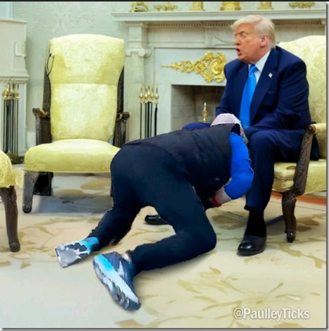 Shellie 🇺🇦Ⓥ🌊 tweet media