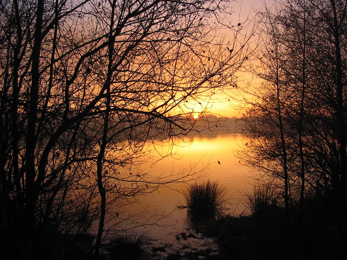 ℝetro ℝesolution - Derezzed tweet media