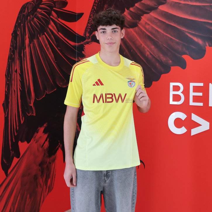 Information Glorious - SL Benfica tweet media