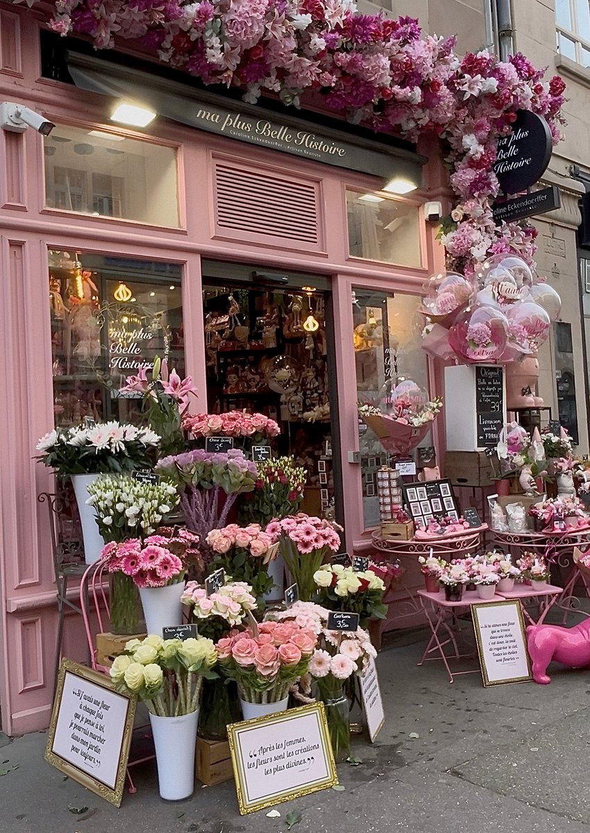 blossom. tweet media