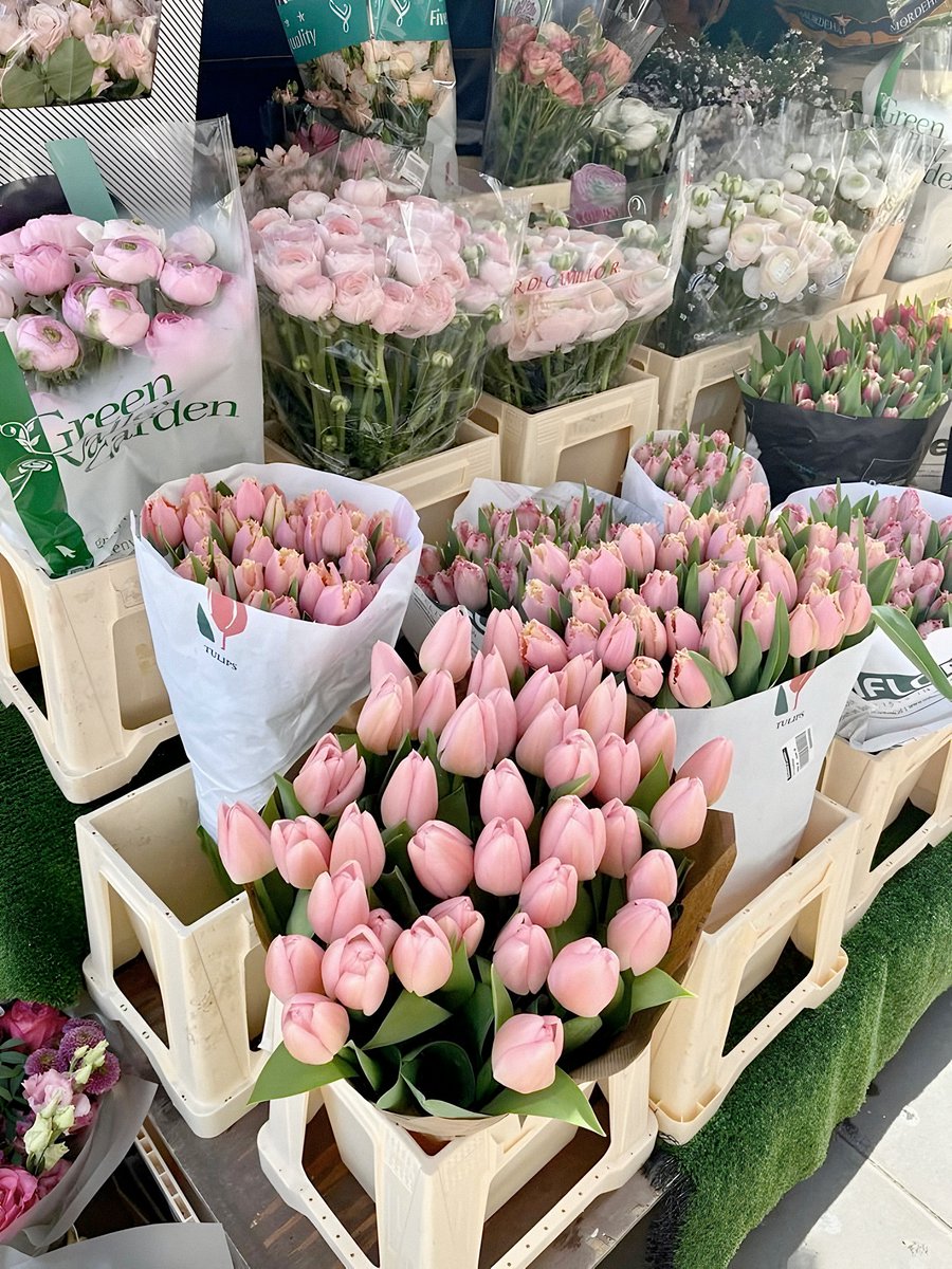 blossom. tweet media