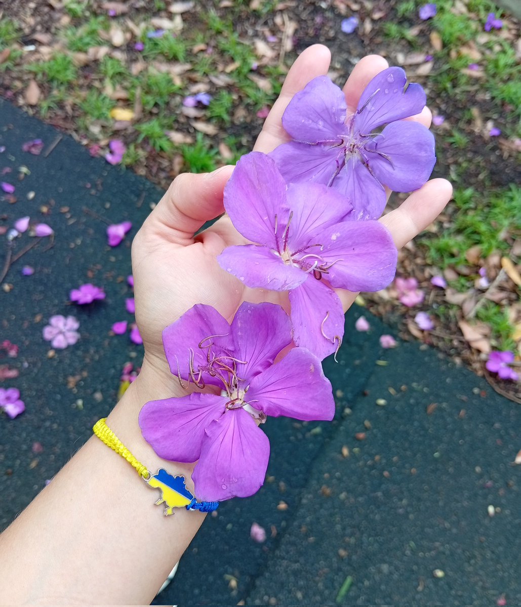 Dr. Daria tweet media