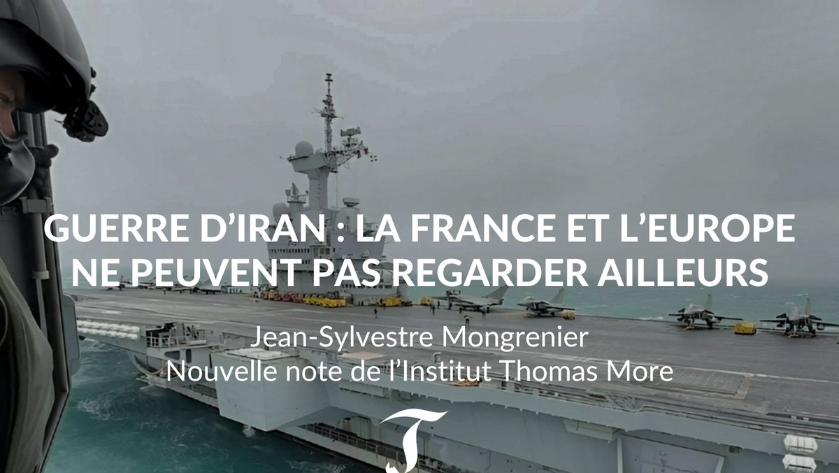 Institut Thomas More tweet media