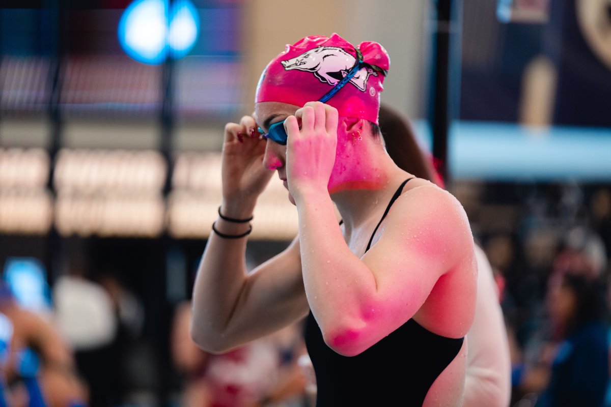 Razorback Swim & Dive tweet media