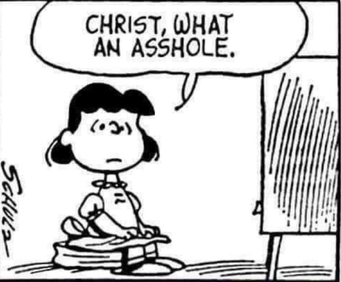 Terry with a y 🌊🇺🇸💙🌻 tweet media