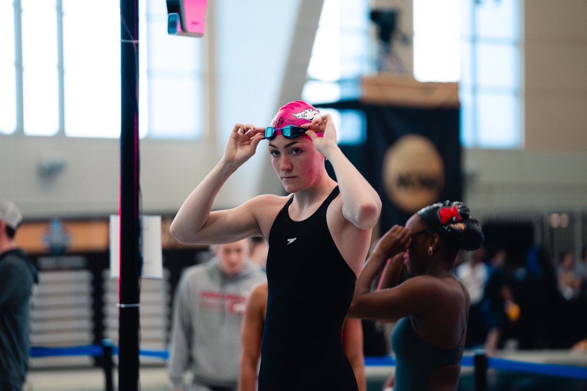 Razorback Swim & Dive tweet media