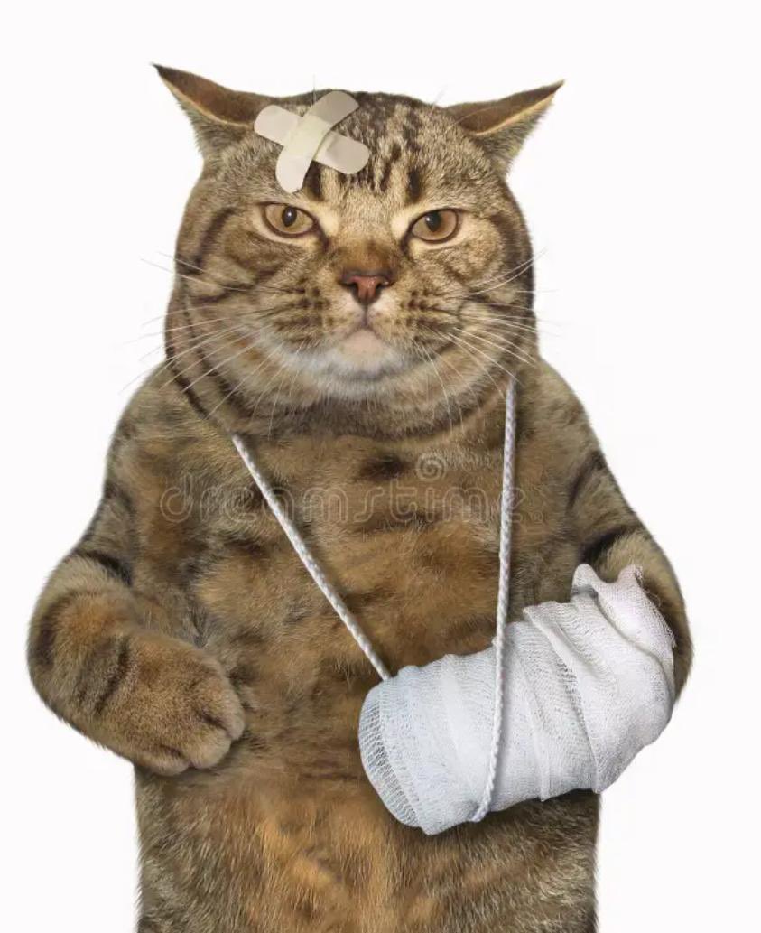 Nacional Del Mundo tweet media