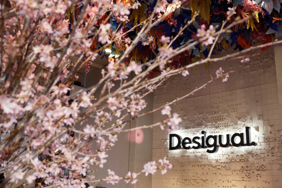 百恵 --Momoe tweet media