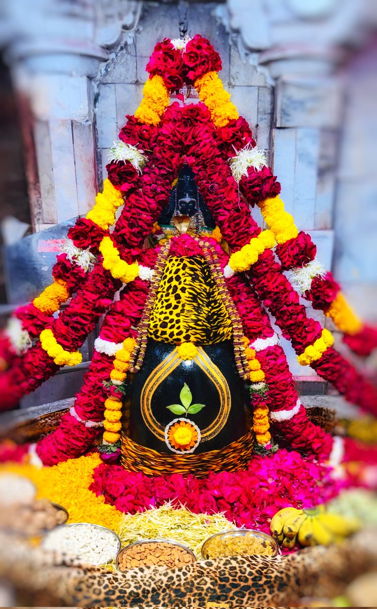 Shree Somnath Temple tweet media