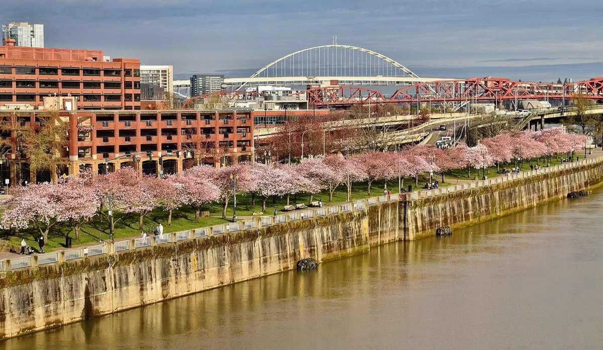 Mike Warner tweet media