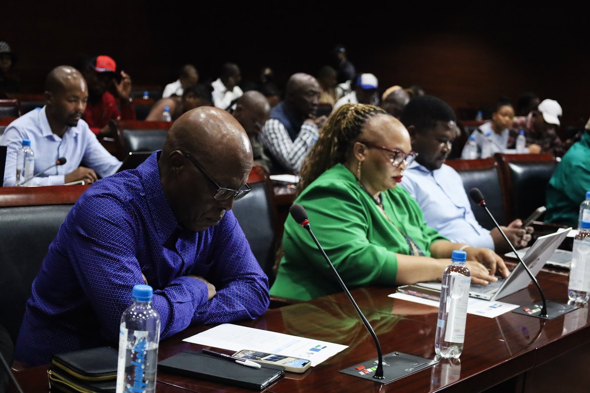 UNDP Lesotho tweet media