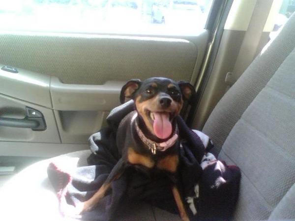 🏴☠️ Shelly Martinez🦇 tweet media