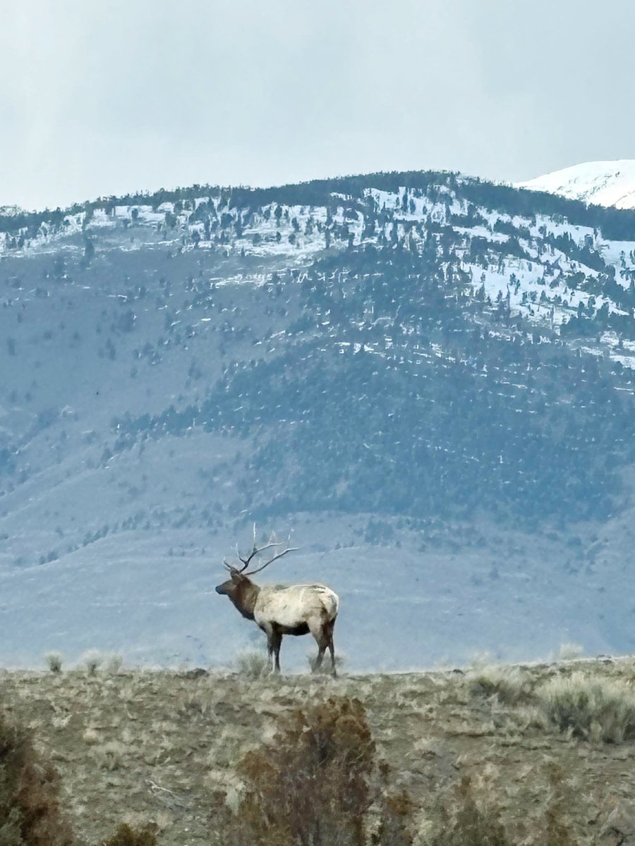 Prarie Patriot tweet media