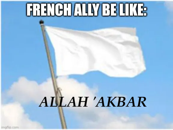 RogueSailor tweet media