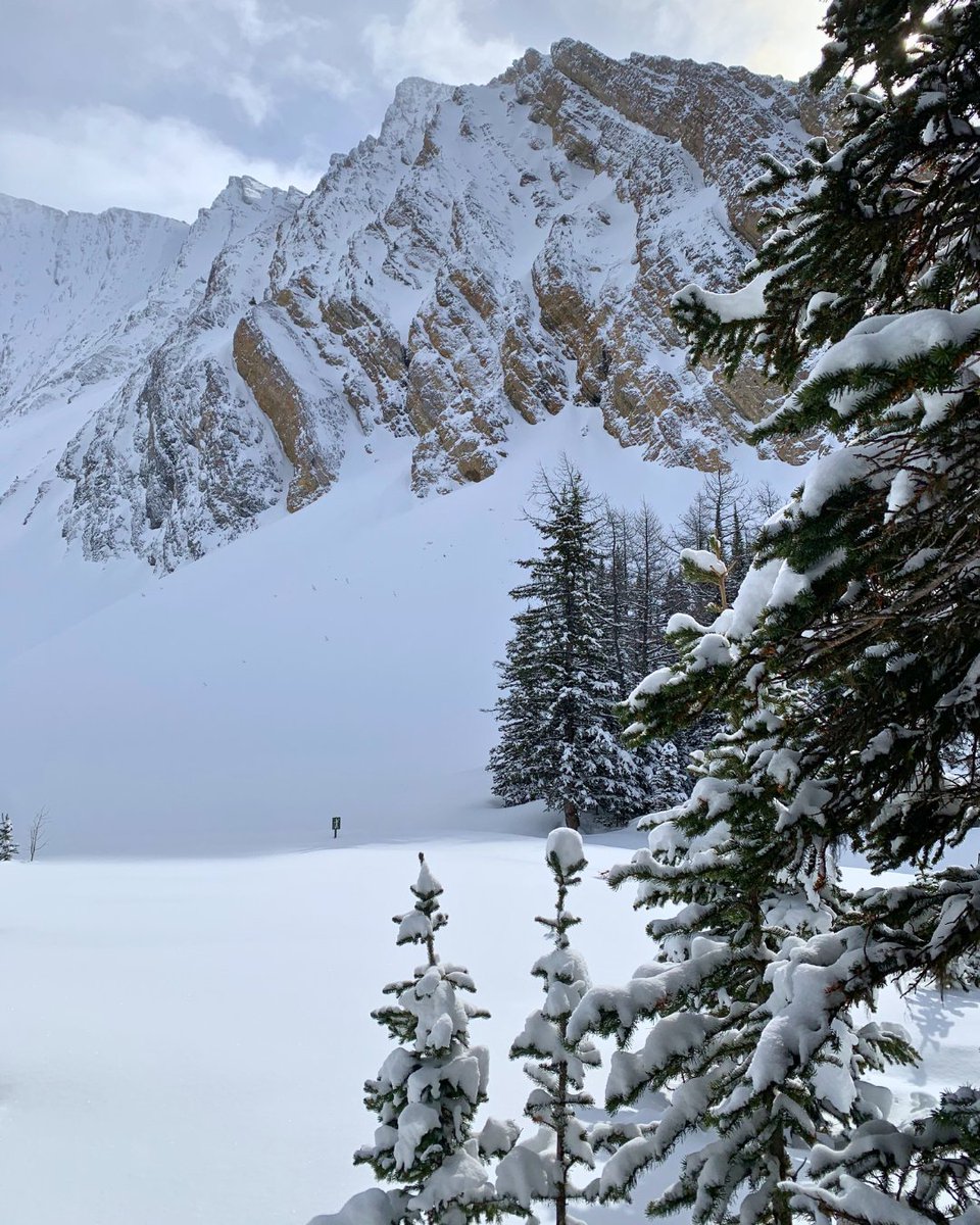 Alberta Parks tweet media