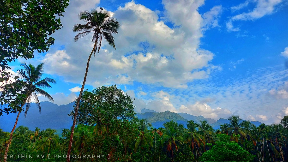 RITHIN KV | Photography 📸 tweet media