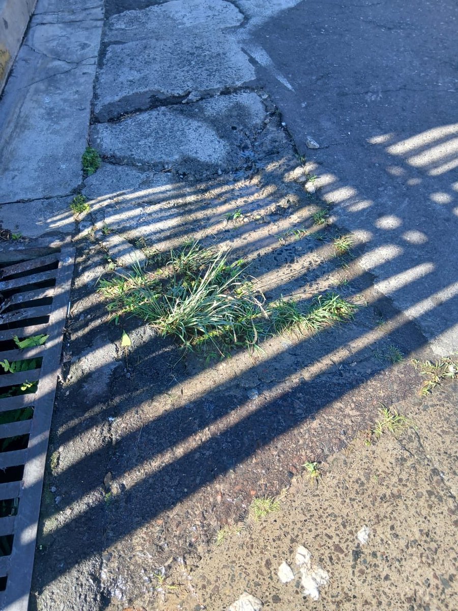 Rafael A. Rodríguez C. tweet media