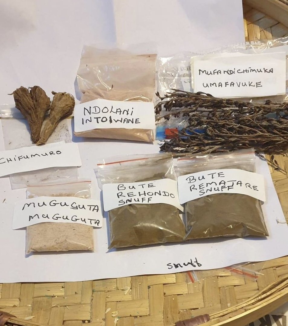 Savheya veFashion tweet media